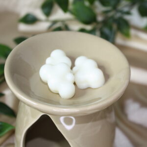 ARABIAN NIGHT ~ wosk zapachowy / 100g