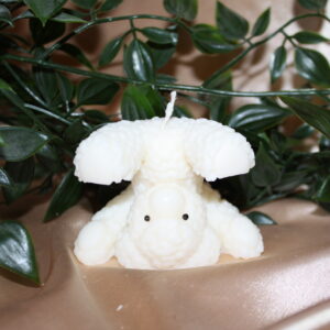 TEDDY NA GŁOWIE ~ BEZZAPACHOWA