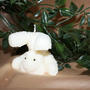 TEDDY NA GŁOWIE ~ BEZZAPACHOWA